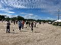 Boule, vårskrällen